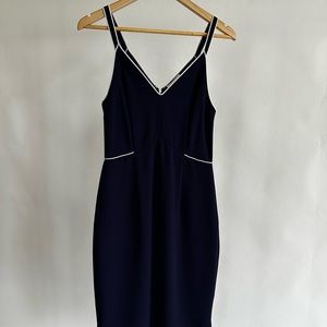 Whistles Melissa Zip Back Dress